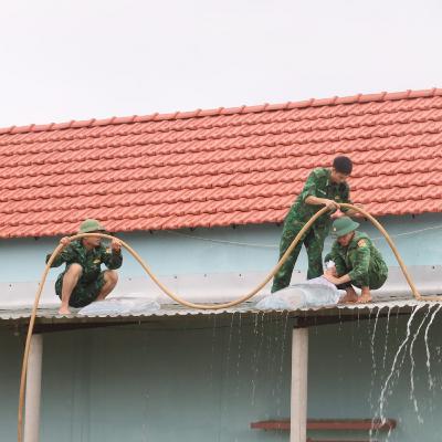 Tiêu điểm - Quảng Ngãi hoàn thành di dời dân tránh bão trước 17 giờ ngày 6/11 Tiêu điểm - Quảng Ngãi hoàn thành di dời dân tránh bão trước 17 giờ ngày 6/11