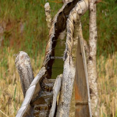 L’eau des Bétsiléos