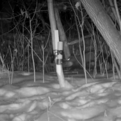 Ep. 264 : A Fisher in Edmonton with Sage Raymond