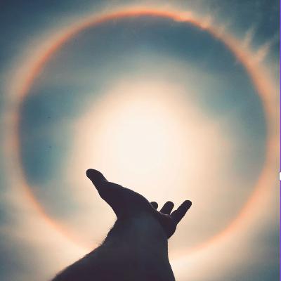 Don't judge a book by its cover: The Halo Effect