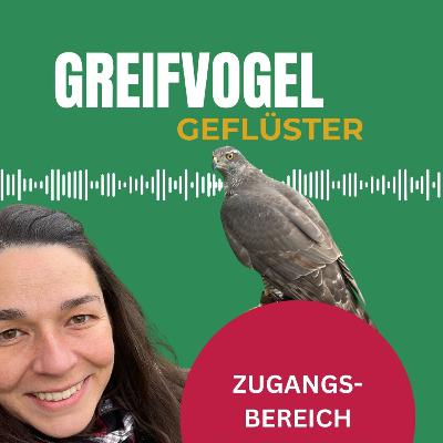 Update 2026 - FalknerIn Online-Stammtisch und mehr