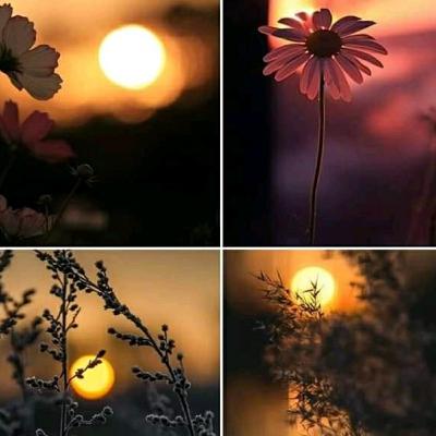 TENTANG HIDUP TENTANG HIDUP