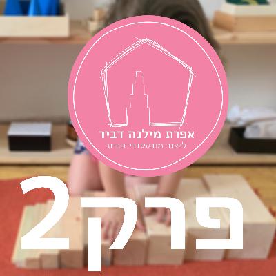 פרק שני - עקרון הבחירה