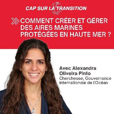 Comment créer et gérer des aires marines protégées en haute mer ? Comment créer et gérer des aires marines protégées en haute mer ?