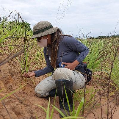 Em Campo com A Lasca Arqueologia: Estudos Arqueológicos em Cantá e Boa Vista - RR
