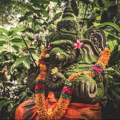 古印度治療師Vaidya的生命智慧和傳承的文化底蘊 (Sonia) EP-40 古印度治療師Vaidya的生命智慧和傳承的文化底蘊 (Sonia) EP-40