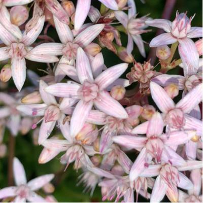 Beautiful Mistakes Beautiful Mistakes