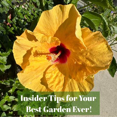 🎙️Welcome to Episode 25 – 31 of The Mountain Gardener Podcast with Ken and Lisa Lain!