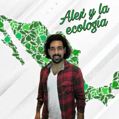 30. Alex y la ecología.