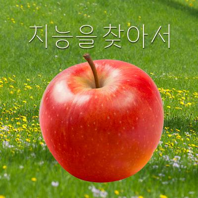 EP.10 내 카톡? 다 봐도 돼 근데 GPT는 절대 안 돼