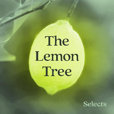 The Lemon Tree by Sandy Tolan The Lemon Tree by Sandy Tolan