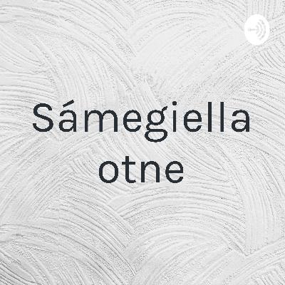Sámegiella otne - universiteahtalektor Inger Ánne Gaup