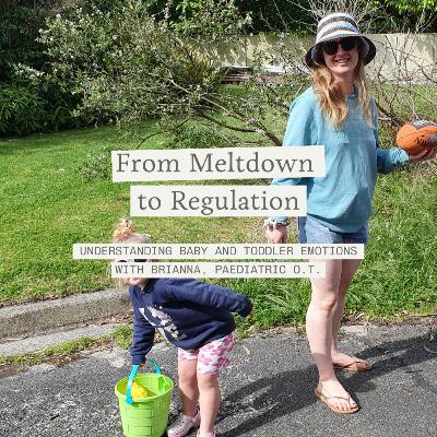 From Meltdown to Regulation: How we can work through those big baby and toddler emotions