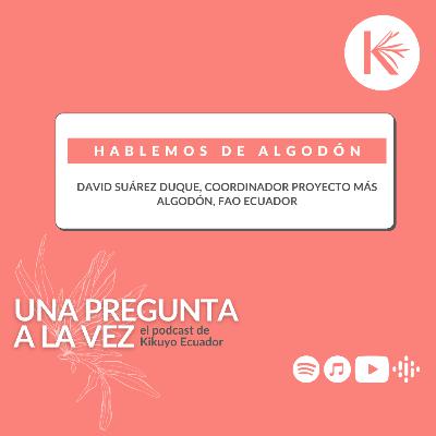 Episodio #1: Hablemos de Algodón