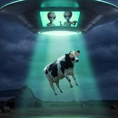 Cattle Mutilations by Apparent ET/NHI Beings Continued Through 2025