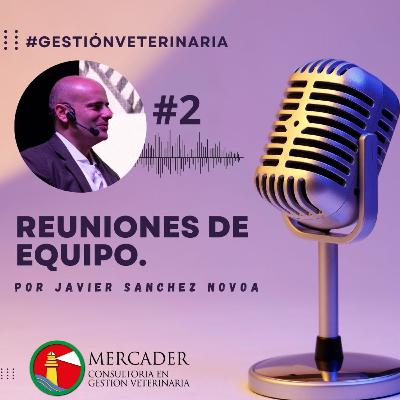 Cómo crear reuniones de equipo eficaces en una veterinaria