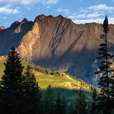 A Conversation with Homesteader Suzanne Sherman founder of Red Hot Chilly Prepper A Conversation with Homesteader Suzanne Sherman founder of Red Hot Chilly Prepper
