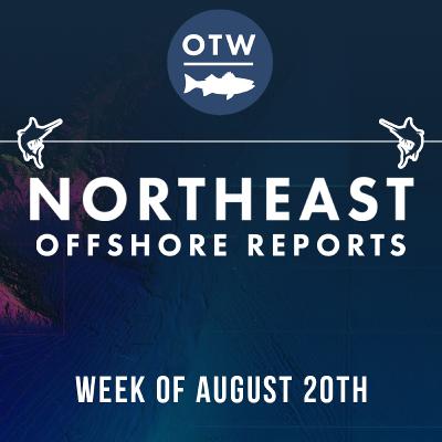 Hurricane Erin is COMING | Northeast Offshore Fishing Report Hurricane Erin is COMING | Northeast Offshore Fishing Report