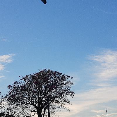 Tudo começa com um diálogo consciente Tudo começa com um diálogo consciente