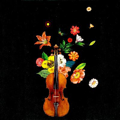 Ep 6. Andrea Amati Part 3 The painted Violins of Charles IX Ep 6. Andrea Amati Part 3 The painted Violins of Charles IX