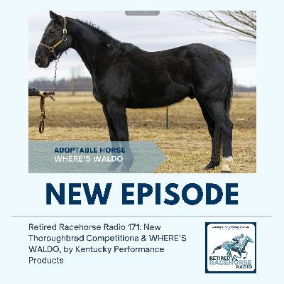 New Thoroughbred Competitions and WHERE'S WALDO by Kentucky Performance Products New Thoroughbred Competitions and WHERE'S WALDO by Kentucky Performance Products
