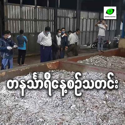 စက်တင်ဘာလ ၁၉ရက် တနင်္သာရီနေ့စဉ်သတင်း အစီအစဉ်