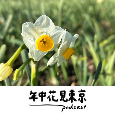 水の仙人ナルキッソスことスイセン様【#38】