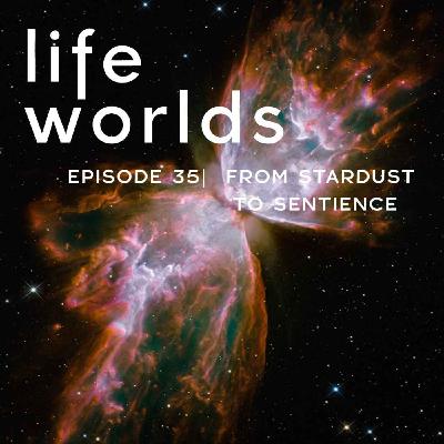 35. From Stardust To Sentience: Astrobiology & Life in the Cosmos – with Adam Frank