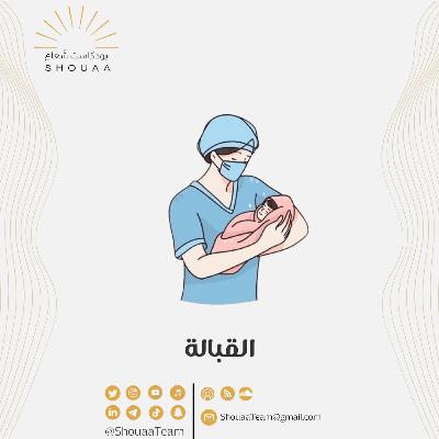 تخصص القبالة | Midwifery