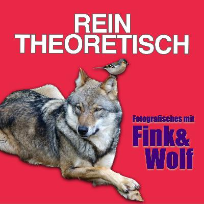 rein theoretisch - Fotografisches mit Fink&Wolf rein theoretisch - Fotografisches mit Fink&Wolf