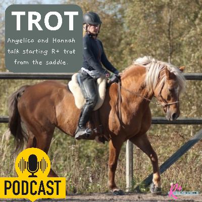 Starting to trot with your reward based horse