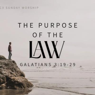 The Purpose of the Law The Purpose of the Law