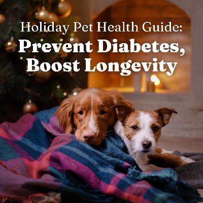 Holiday Pet Health Guide: Prevent Diabetes, Boost Longevity for Your Dog and Cat Holiday Pet Health Guide: Prevent Diabetes, Boost Longevity for Your Dog and Cat
