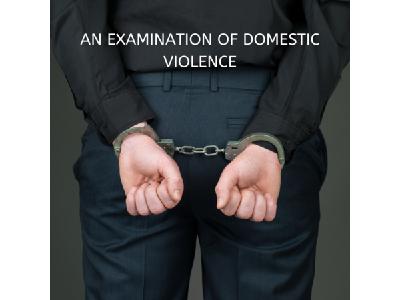 An Examination of National Domestic Violence