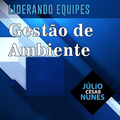 CURSO LIDERANDO EQUIPES: Gestão de Ambiente
