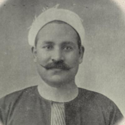 البعوض البعوض