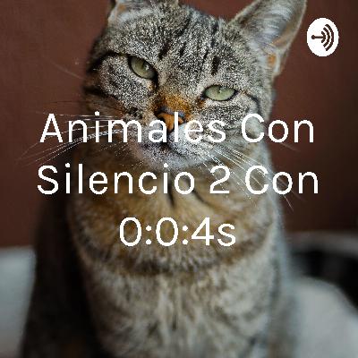 Discusión