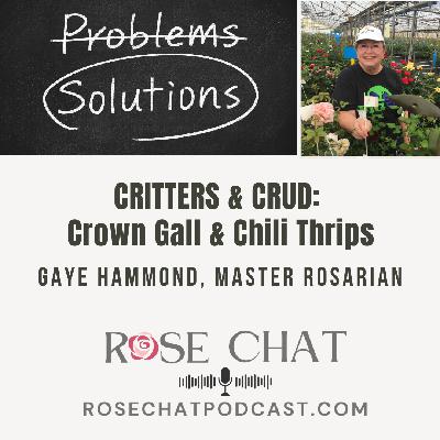 CRITTERS & CRUD:  Crown Gall & Chili Thrips