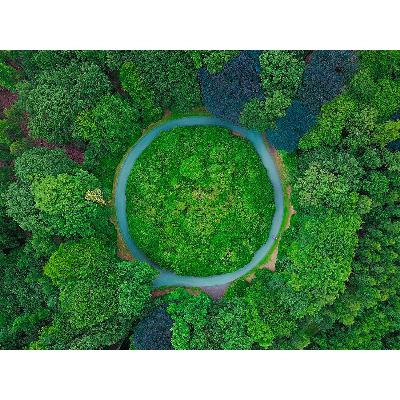 Naj eko témy za rok 2018