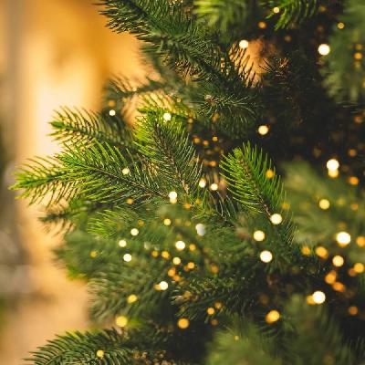 TranceLive Christmas Beats 2026