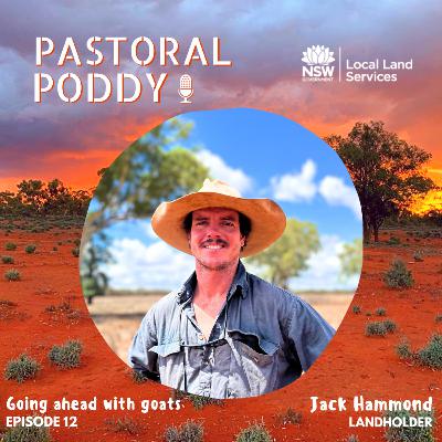 Goat Series: Ep 12 - Embracing Opportunities through Goat Trading with Jack Hammond Goat Series: Ep 12 - Embracing Opportunities through Goat Trading with Jack Hammond