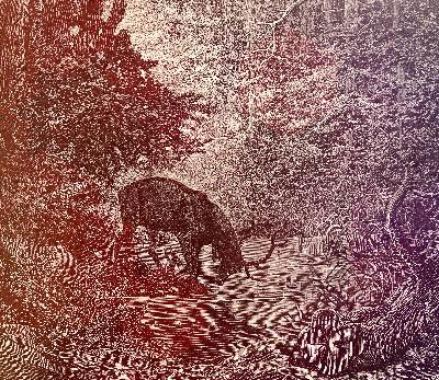 22-《Le Cerf se voyant* 看见自己倒影的鹿》一次与雄鹿的邂逅