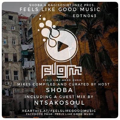 Feels Like Good Music 043 Guest Mix by Ntsakosoul