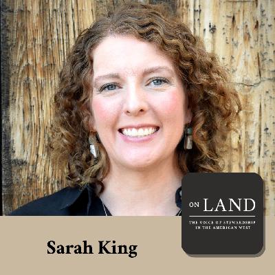 Drought and resilience in the Sonoran Desert with Sarah King