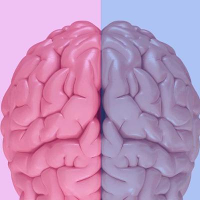 10: Diferencias entre el cerebro femenino y Masculino