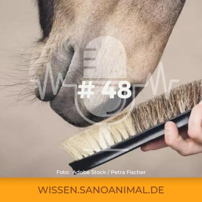 Sanoanimal Podcast #48 - Herbstfellwechsel beim Pferd