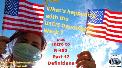 What's happening with the USCIS Openings? Week 7