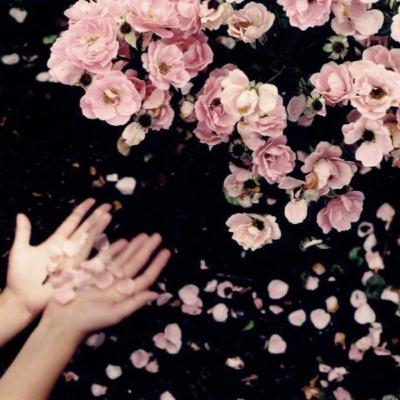 Perihal Dipertemukan