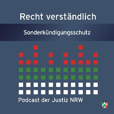 Sonderkündigungsschutz