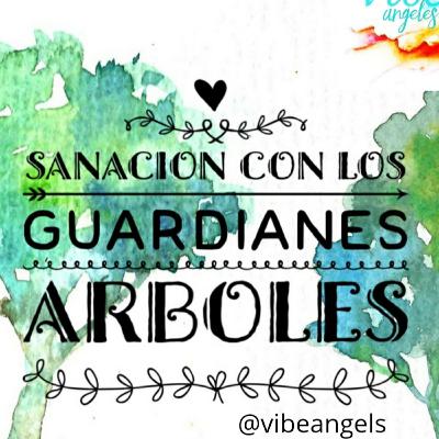 Sanación con árboles Sanación con árboles